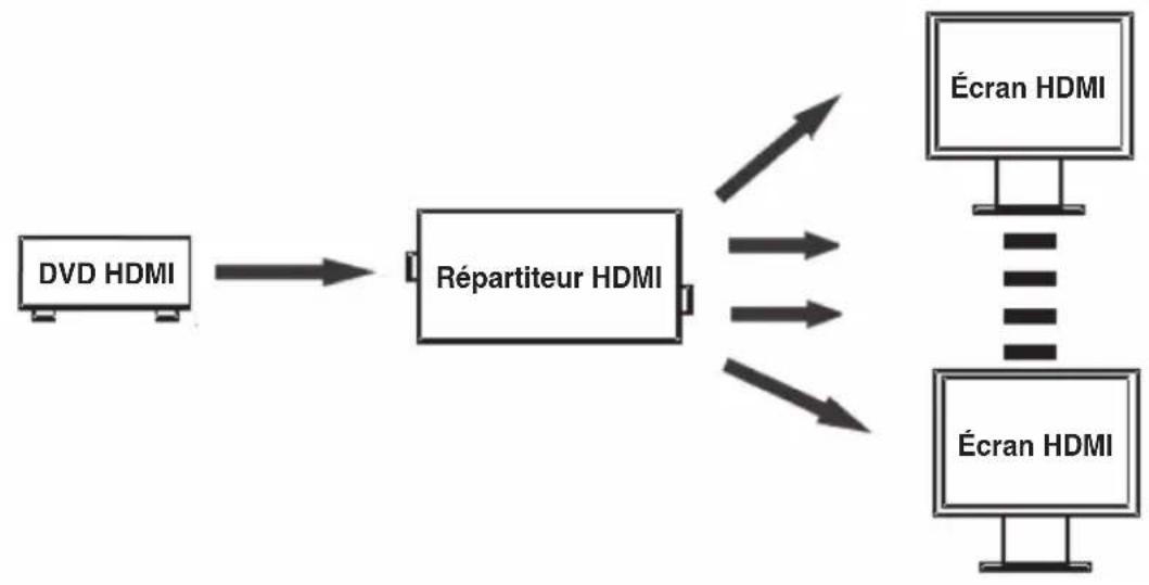 KONIG KNHDMISPL20 - Raccordement et fonctionnement : - 1