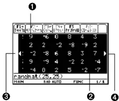 TEXAS INSTRUMENTS TI89 - Entrée ou réponse "trop longue" Entrée ou réponse "trop longue" - 4