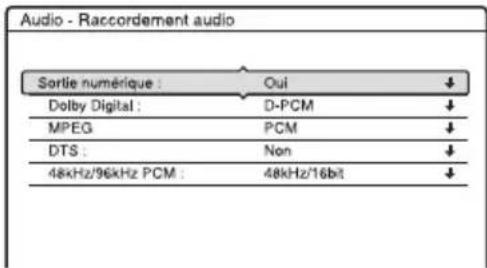 SONY RDRHX720 - Raccordement audio - 1
