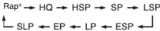 SONY RDRHX722 - Copie d'un seul titre (Copie titre) - 2