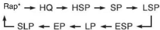 SONY RDRHX725 - Copie d'un seul titre (Copie titre) - 2