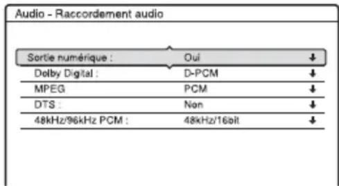 SONY RDRHX725 - Raccordement audio - 1
