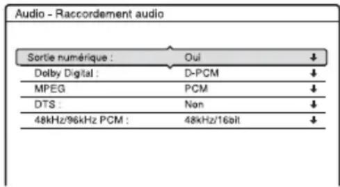 SONY RDRHX727 - Raccordement audio - 1