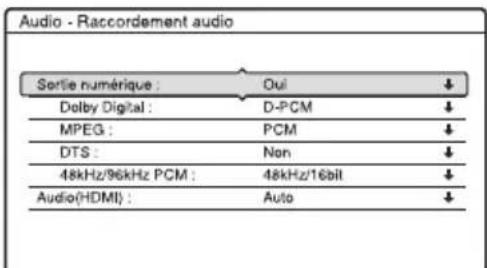 SONY RDRHX825 - Raccordement audio - 1