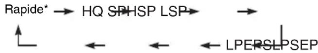 SONY RDRHX910 - Sélectionnez un mode de copie en appuyant sur ↑/↓. - 1
