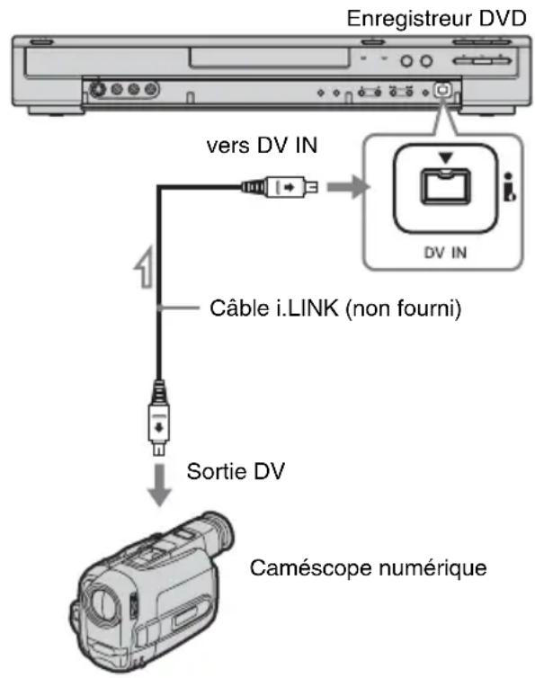 Enregistreur DVD vers DV IN Câble i.LINK (non fourni) Sortie DV Caméscope numérique