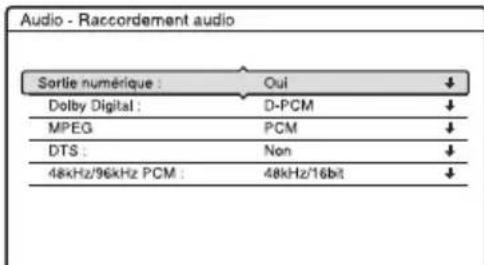 SONY RDRHX920 - Raccordement audio - 1