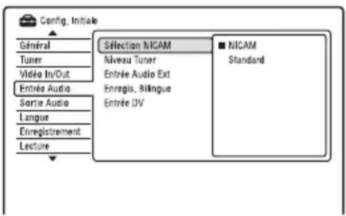 SONY RDRHX950 - Réglages de l'entrée audio (Entrée Audio) - 1