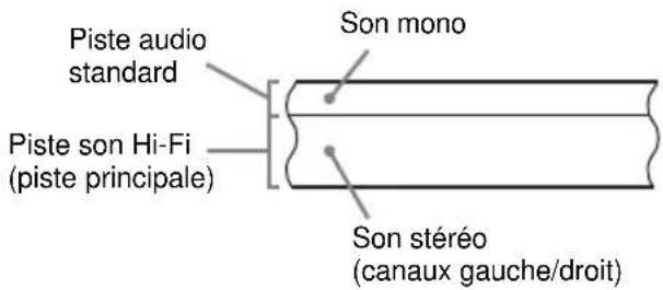 Piste audio standard Piste son Hi-Fi (piste principale) Son mono Son stéréo (canaux gauche/droit)