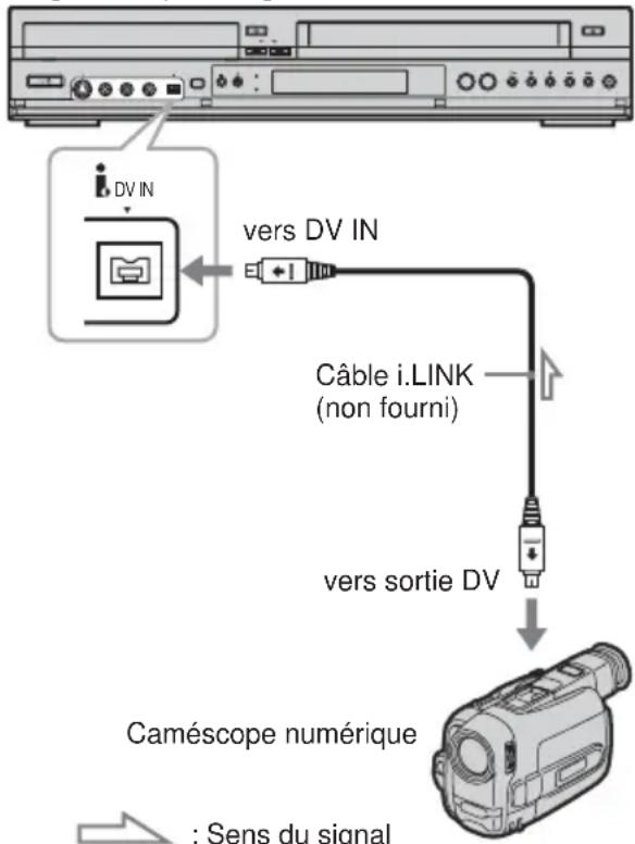 DV IN vers DV IN Câble i.LINK (non fourni) vers sortie DV Caméscope numérique : Sens du signal