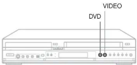 VIDEO DVD