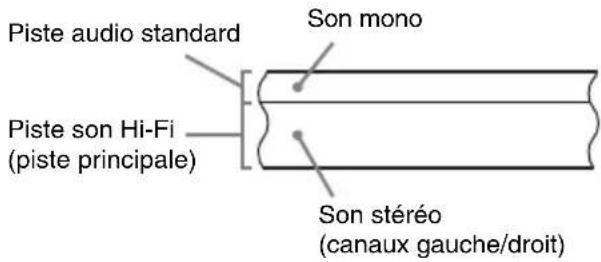 SONY RDRVX450 - Enregistrement du son sur une cassette vidéo - 1