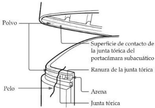 SONY CCDTR760E - Elimie el polvo, la arena o el pelo de la junta tórica - 1