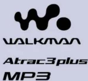 SONY NWHD5H - Network Walkman - 2