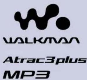 SONY NWHD5H - Network Walkman - 2