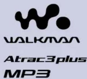 SONY NWHD5H - Network Walkman - 2