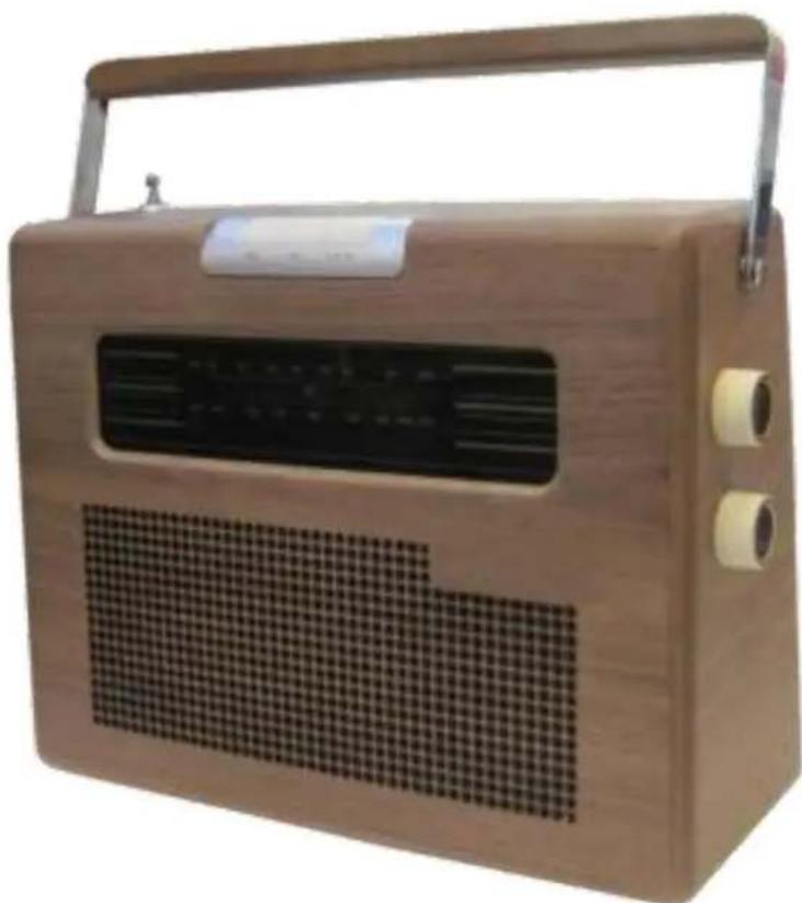 Ricatech PR390 - PR390 Portable Radio - 1