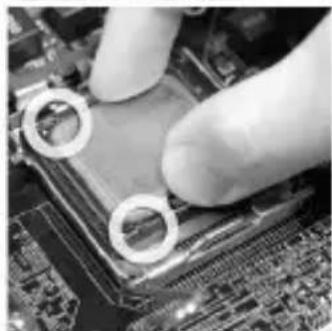 MSI G41MP26 - 安装LGA775中央處理器及散熱風扇 - 5