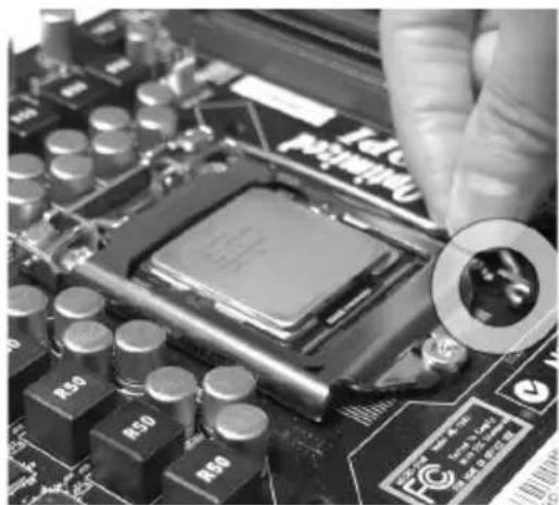 MSI H67MAE35 - CPU &amp; Cooler Installation - 7