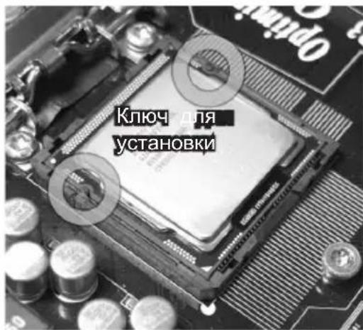 MSI H61ME33 - YcTaHOBka npoueccopa n BENTnIaTopa - 5