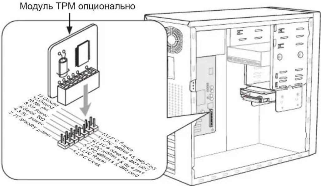 Модуль ТРМ опционально 14. Ground 12. Ground 10. No Pin 8.5V Power 6. Serial IRC 4.3V Power 2.3V Standout Power 13. LPC Frame & data pin 3 9. LPC address s& data pin D 5. LPC address s& data pin 1 3. LPC Reset 1. LPC Clock