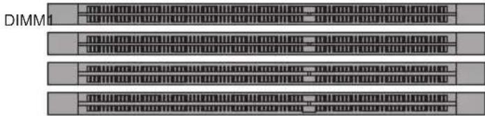 DIMM