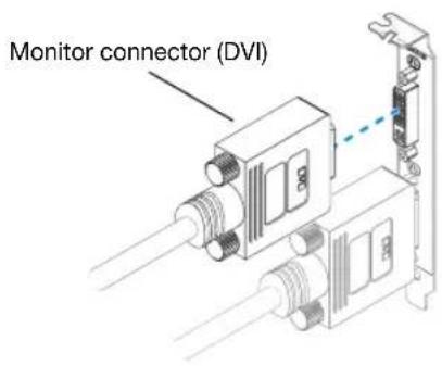 MATROX Millennium P650 LP PCI - Connect the second monitor - 1