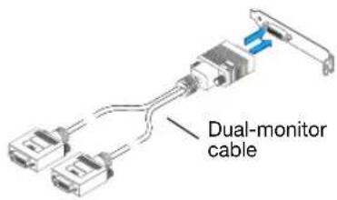 MATROX Millennium P650 LP PCI - Attach the dual-monitor cable - 2