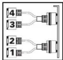 MATROX QID LowProfile PCI - Connect your monitors - 3