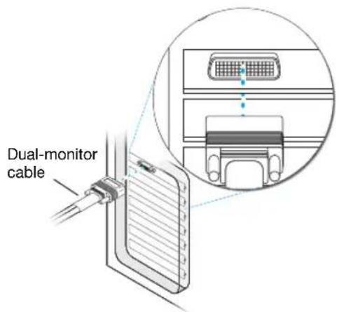 MATROX EpicA TC4 - Attach the dual-monitor cable or quad-monitor cable - 1