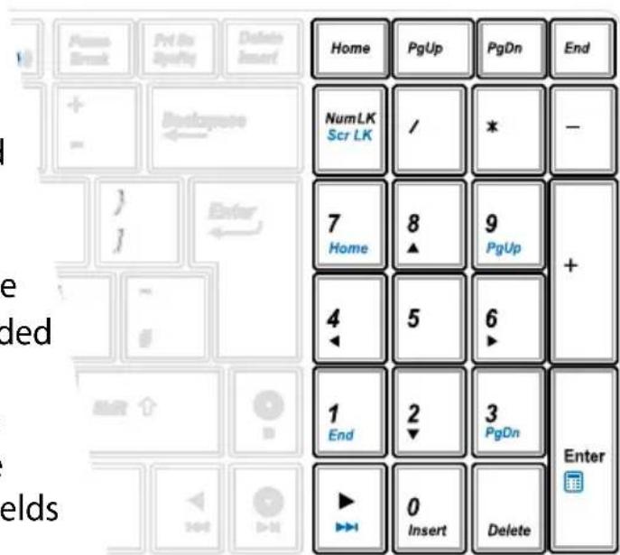 ASUS HRSX196X - Extended Keyboard (on selected models) - 1