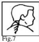 TRISTAR TR2547 - Contournement - 7
