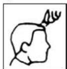 TRISTAR TR2547 - Contornos - 4