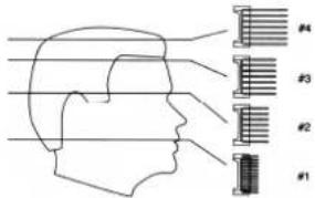 TRISTAR TR2547 - Outlining - 6
