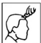 TRISTAR TR2547 - Afkanten - 2