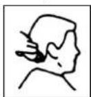 TRISTAR TR2547 - Contornos - 2