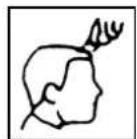 TRISTAR TR2547 - KAMMAUFSÄTZE - 10