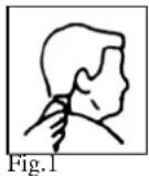 TRISTAR TR2547 - KAMMAUFSÄTZE - 3