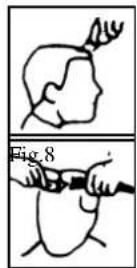 TRISTAR TR2547 - CORTE SIN PEINE MAESTRO - 7