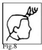 TRISTAR TR2547 - Outlining - 4