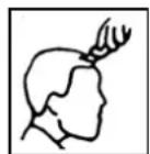 TRISTAR TR2547 - Contournement - 4