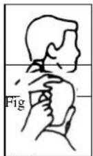 TRISTAR TR2547 - HAAR KNIPPEN MET MEEGELEVERDE KAMMEN - 2