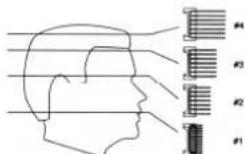 TRISTAR TR2547 - Contournement - 9
