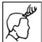 TRISTAR TR2547 - CORTAR CABELO COM OS PENTES ANEXADOS - 5