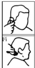 TRISTAR TR2547 - CORTE SIN PEINE MAESTRO - 5