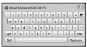 Ironkey Personal D250 - 使用虚拟键盘输入密码 - 1