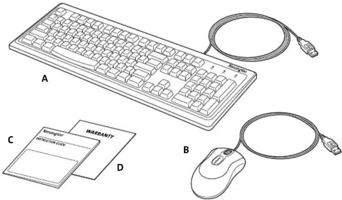 KENSINGTON Keyboard For Life K64370A - Portugues do Brasil - 1