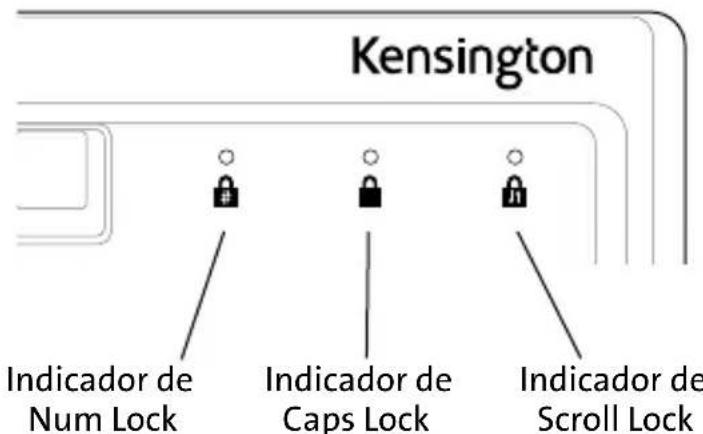 KENSINGTON K72436AM - Conteudo - 1