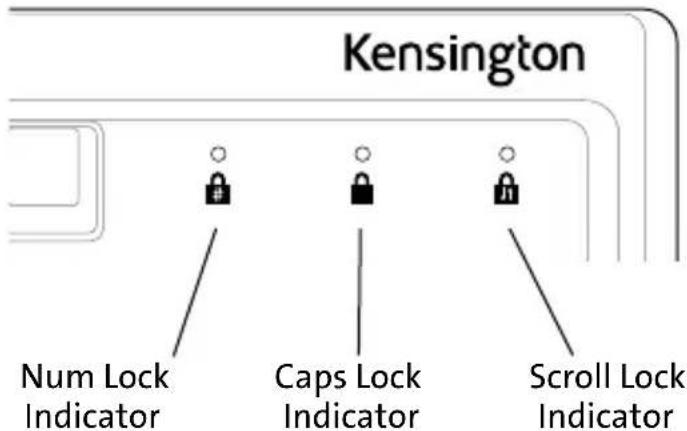 KENSINGTON K72436AM - Wired Keyboard Desktop Set - 3