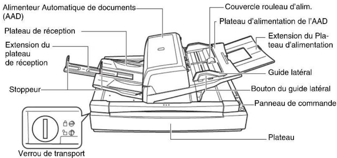 Alimenteur Automatique de documents (AAD) Plateau de réception Extension du plateau de réception Stoppeur Verrou de transport Couvercle rouleau d'alim. Plateau d'alimentation de l'AAD Extension du Pla- teau d'alimentation Guide latéral Bouton du guide latéral Panneau de commande Plateau